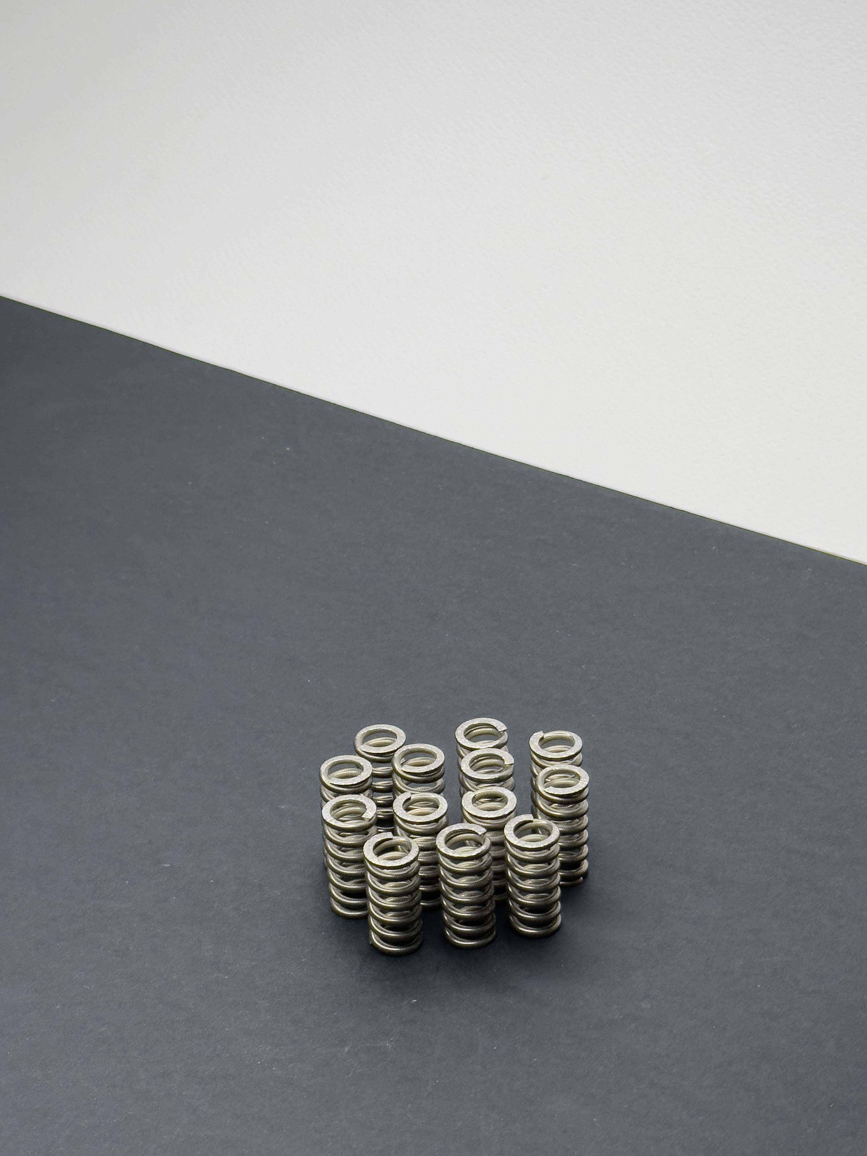 Stainless Steel Spring